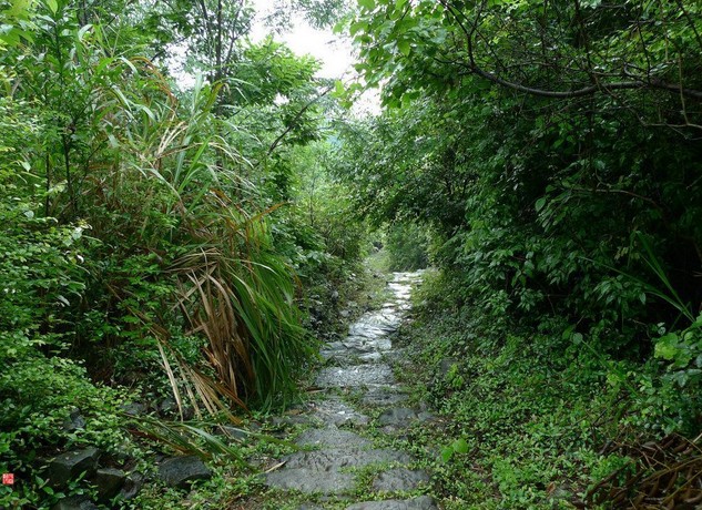 駐日嶺古道