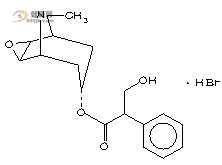 一粒含化消癌療法