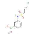 3-（3-氯丙基磺醯氨基）苯基硼酸