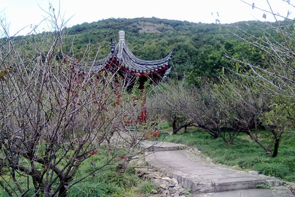 九峰山區域森林步道