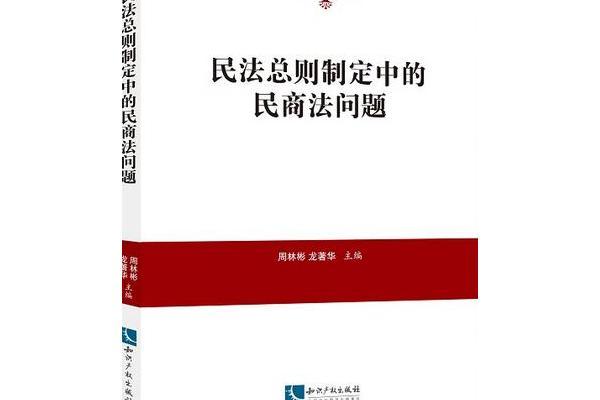 民法總則制定中的民商法問題