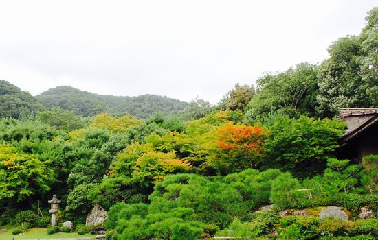 大河內山莊庭園