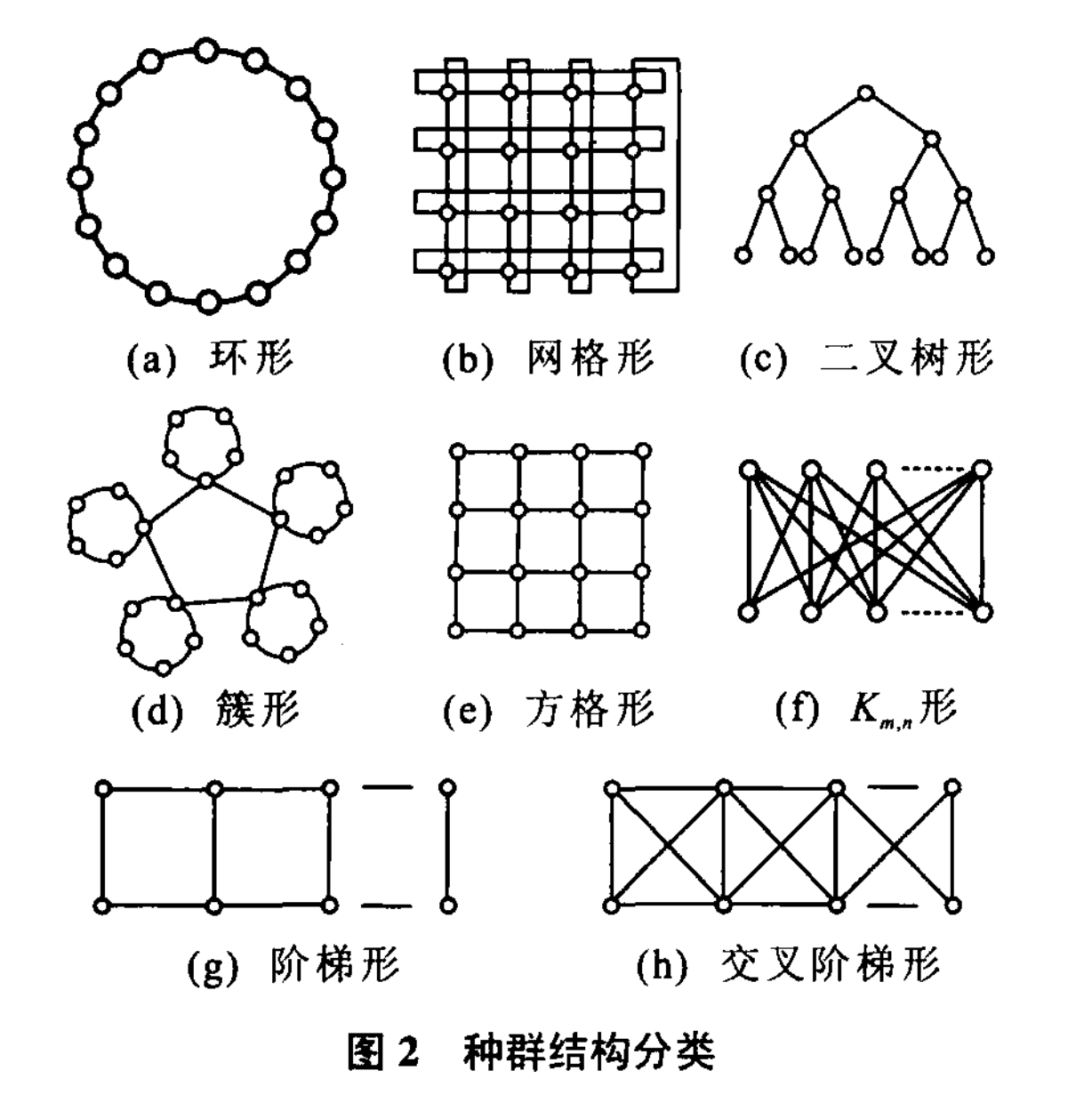 種群結構分類