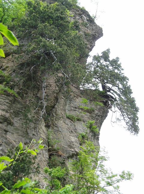 犟山