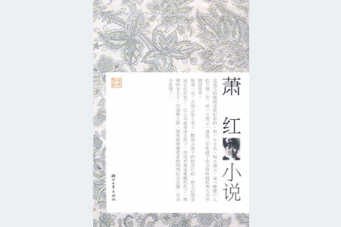 蕭紅小說(2009年浙江文藝出版社出版的圖書)