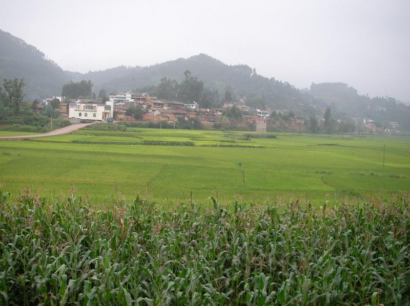 磨山村(浙江省金華市永康市石柱鎮磨山村)