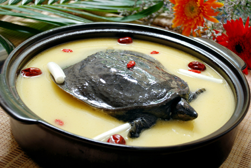 甲魚補腎湯