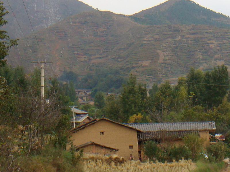 胡家溝村(河南桐柏縣城郊鄉下轄村)