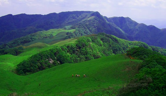 高定村