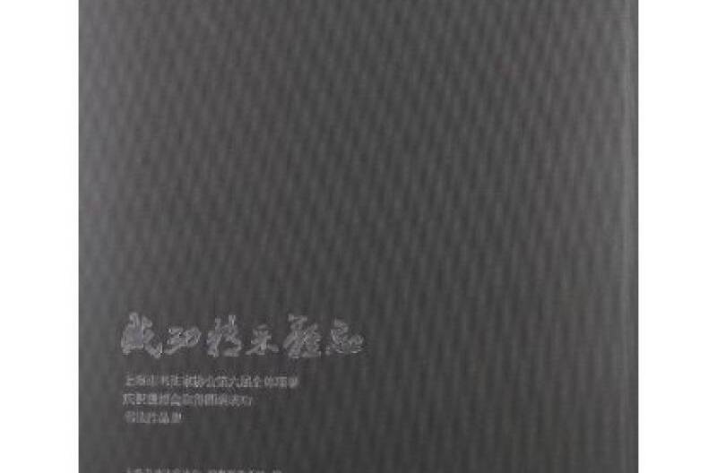 啟功精彩難忘-上海市書法家協會第六屆全體理事慶祝世博會取得圓滿成功書法作品集