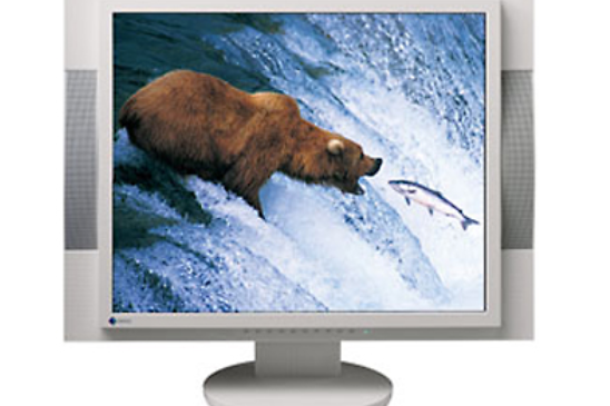 Eizo FlexScan M1950