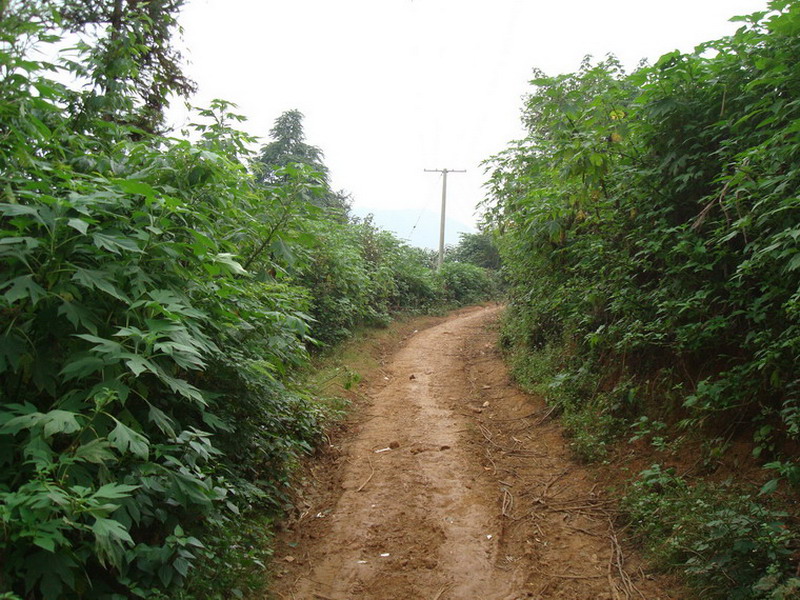 道路