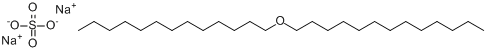 α-磺基-ω-（十三烷氧基）-聚（氧-1,2-乙二基）的鈉鹽