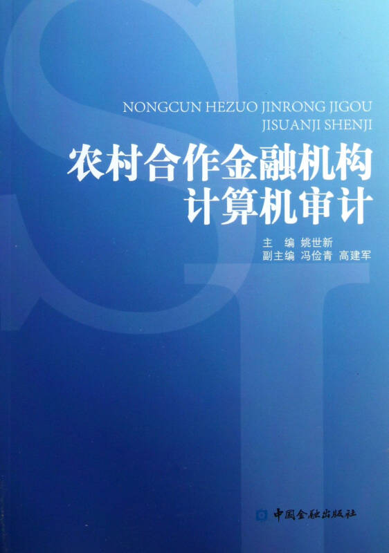 農村合作金融機構計算機審計