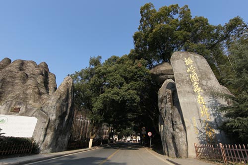 江西梅嶺國家森林公園(梅嶺森林公園)