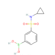 N-環丙基-3-硼苯磺醯胺