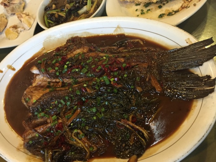 青魚滑水