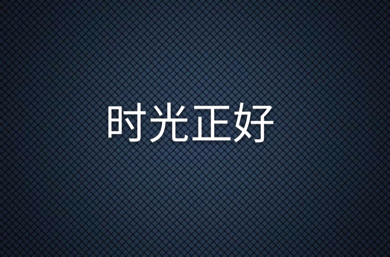 時光正好(小說)