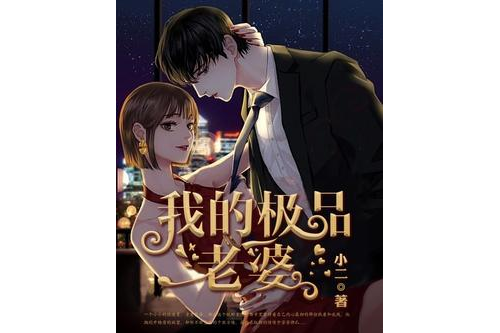 我的總裁老婆(小二所著小說)