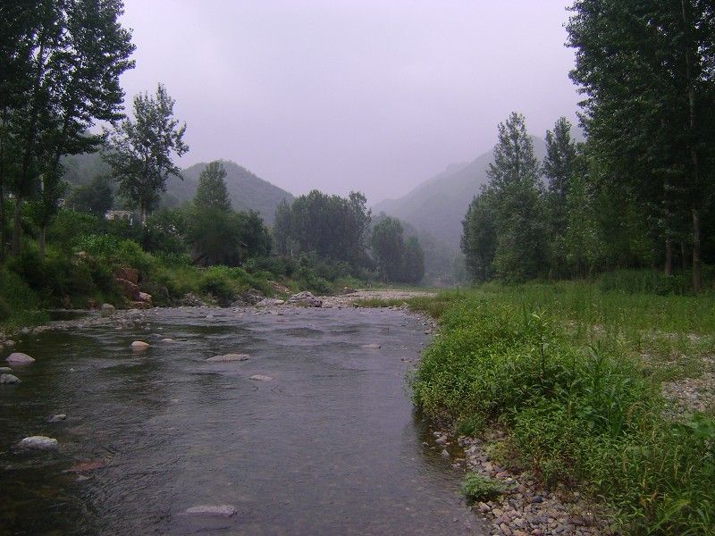 寨溝村(河南省洛陽市嵩縣木植街鄉下轄村)