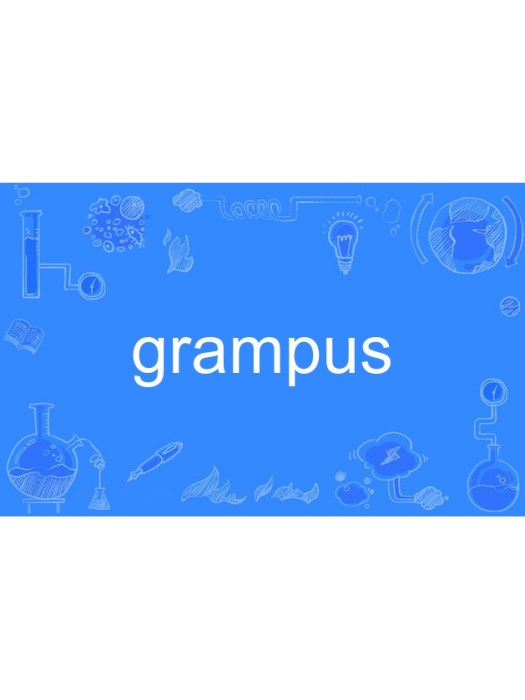 grampus