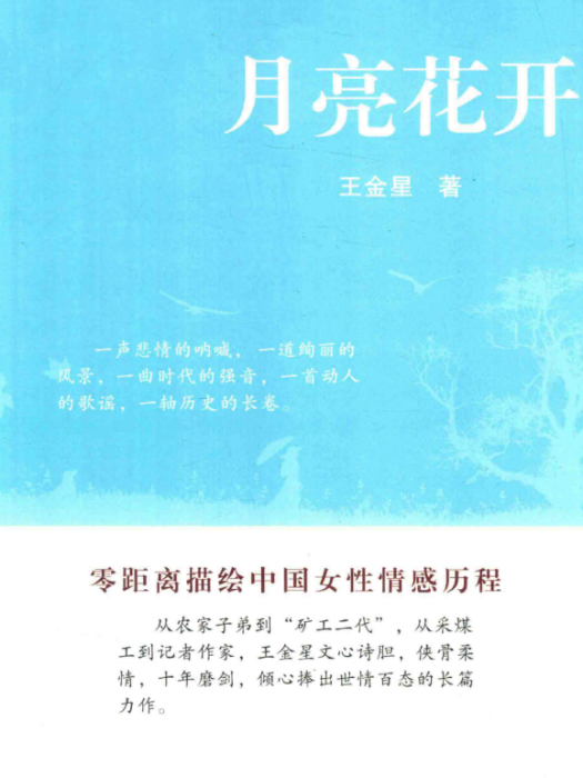 月亮花開(王金星著長篇小說)