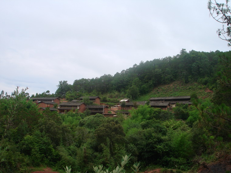 竹箐河村(雲南省普洱市竹箐河村)