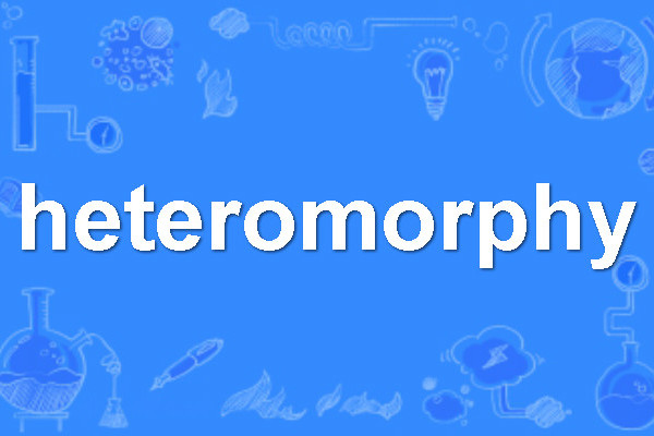 heteromorphy