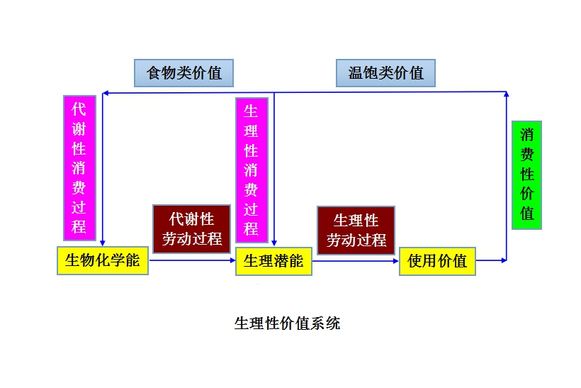 生理性價值系統