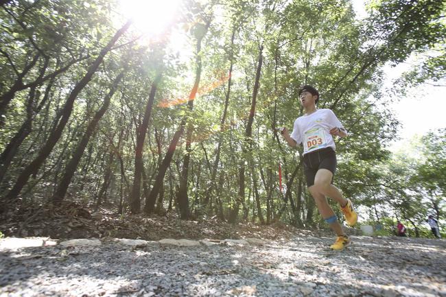 國家登山健身步道聯賽