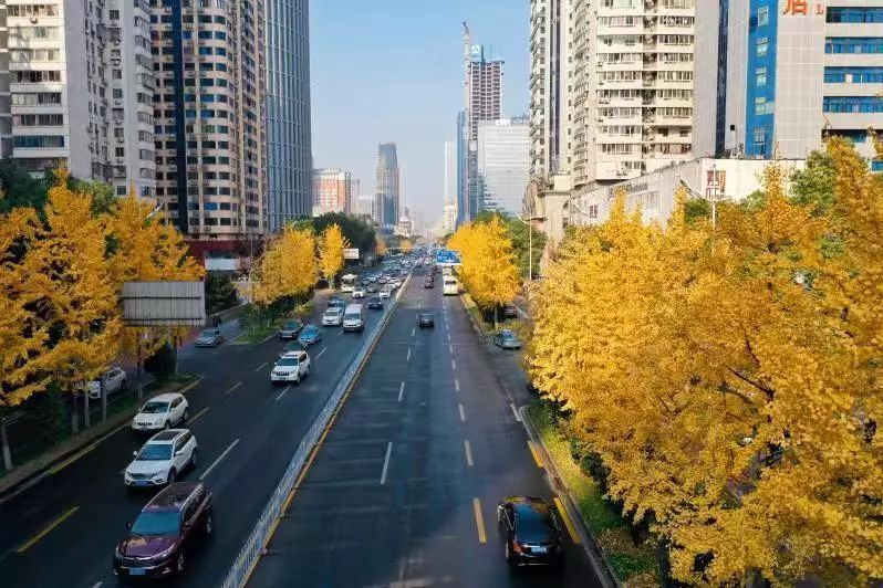 芙蓉路(江西省宜春市上高縣境內道路)