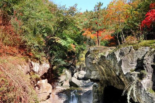 四川廣元漢王山東河水生生物濕地省級自然保護區