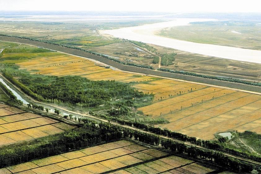 范縣黃河水利風景