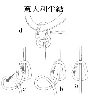 義大利半結