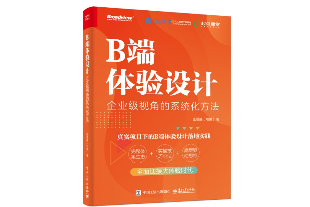 B端體驗設計：企業級視角的系統化方法（雙色）