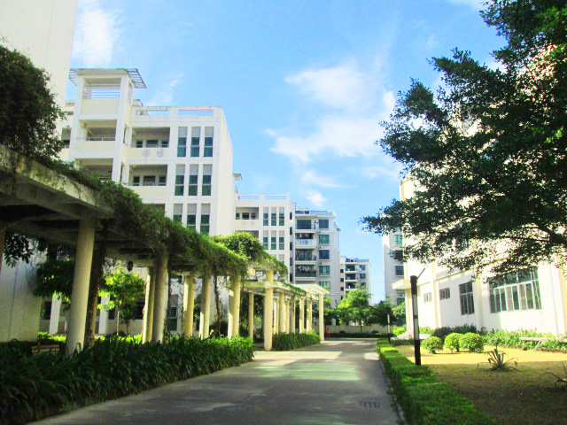 廣東南方學院(南方學院（廣東南方學院）)