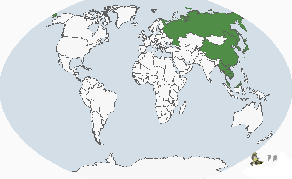 白喉磯鶇(分布圖)