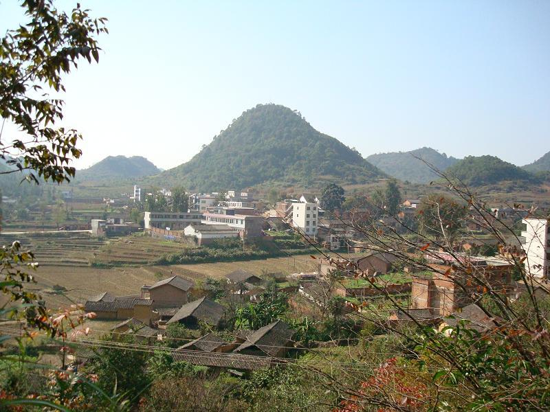 楊柳井村(雲南省廣南縣楊柳井鄉下轄村)