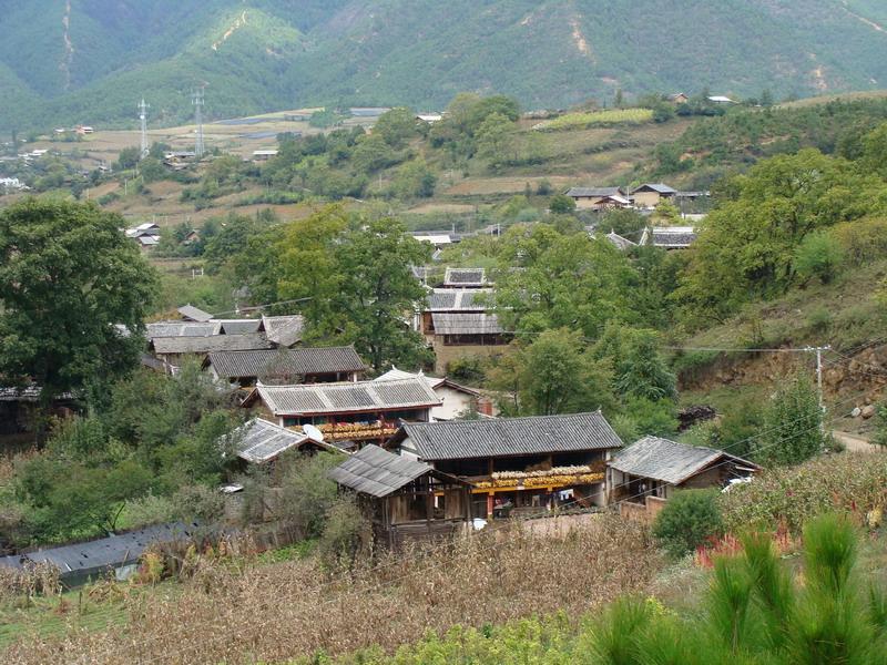 魚塘自然村(坪上鄉屯上村委會下轄自然村)