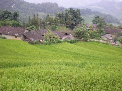 轎子山村