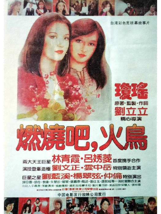 燃燒吧，火鳥(1982年劉立立執導，林青霞、呂秀菱主演電影)