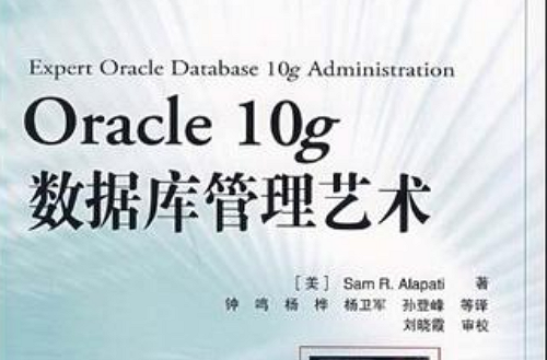 Oracle 10g資料庫管理藝術