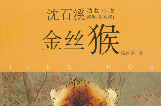 沈石溪動物小說系列：金絲猴