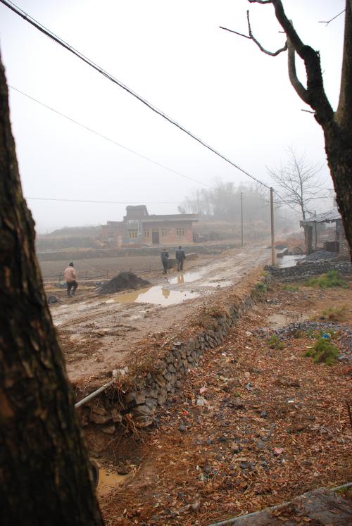 北沖村(雲南省昆明安寧市祿脿鎮北沖村委會)