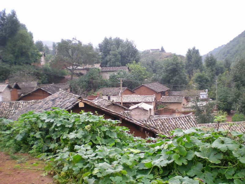 小枉山村