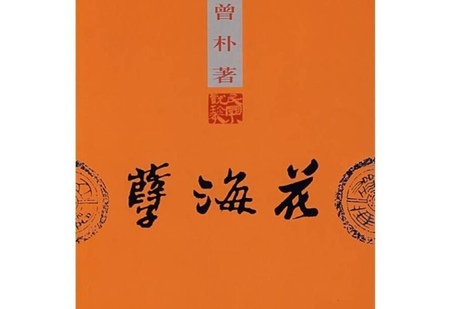 孽海花(2007年團結出版社出版的圖書)