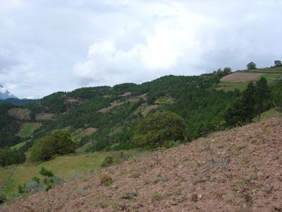 查日村山地