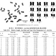 榿葉黃花棯