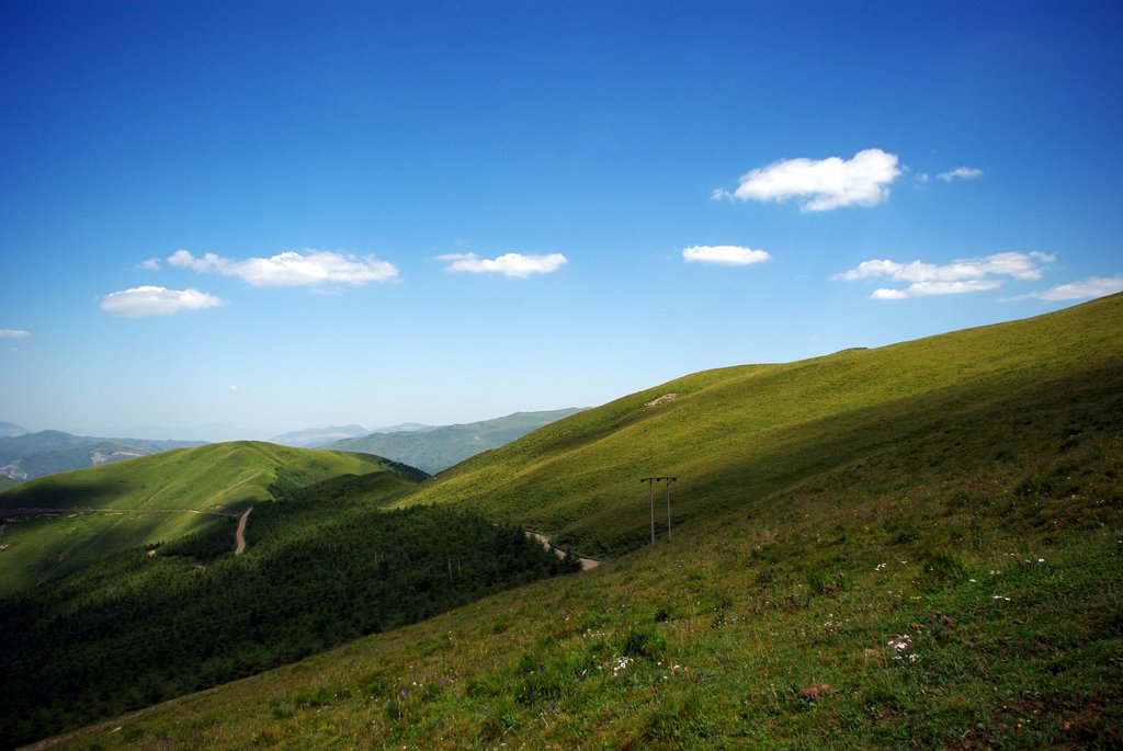 西灣子村(山西省忻州市五台縣靈境鄉下轄村)