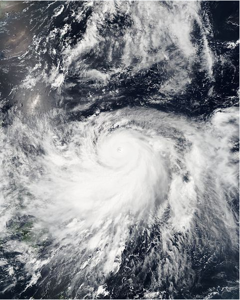 超強颱風夏浪 衛星雲圖